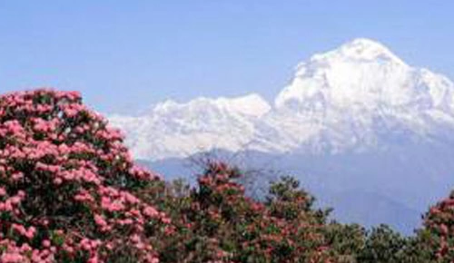 Female Traveling Alone in Nepal