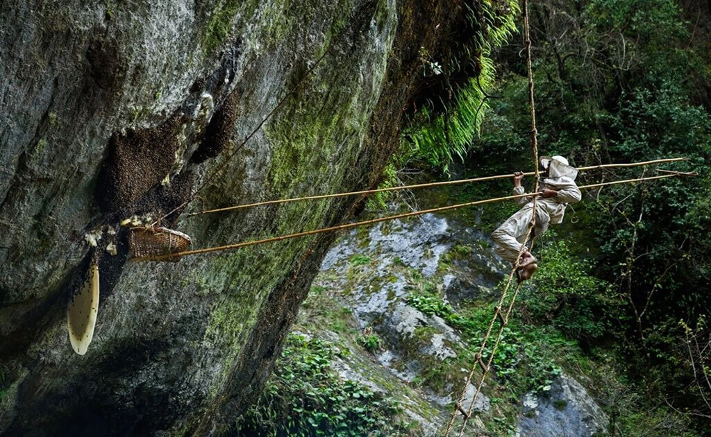Mad Wild Honey Hunting Tour in Nepal