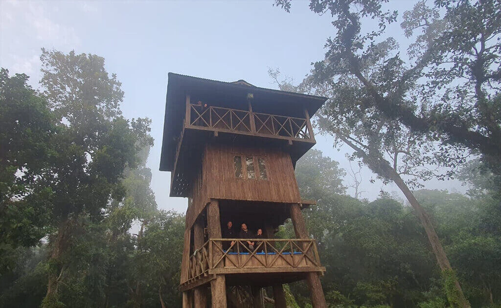 Tower Night Stay In Chitwan National Park 4 Days Tour Package