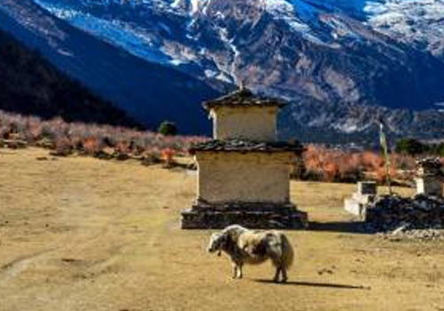 13 Days Manaslu Circuit Trek (Trek Itinerary, Map and Price)