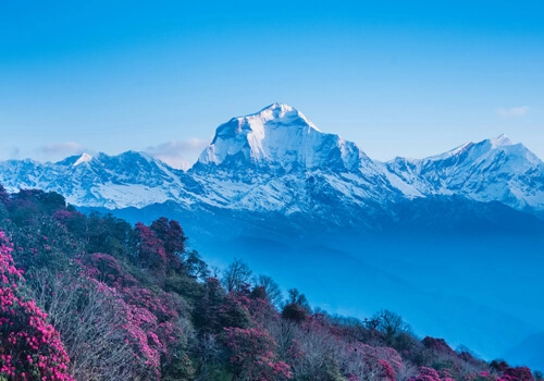 5 Days Budget Ghorepani Poonhill Trek Itinerary from Pokhara