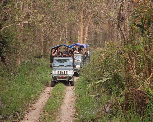  Chitwan Safari Tour 