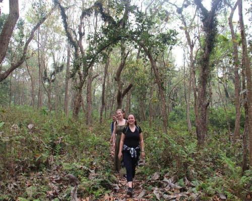Chitwan Safari Tour