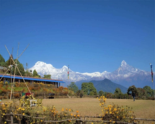 Australian Camp View