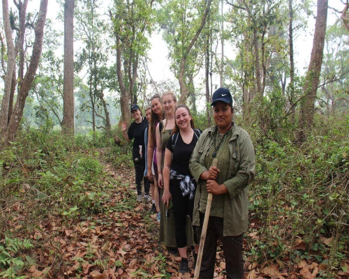  Chitwan Safari Tour