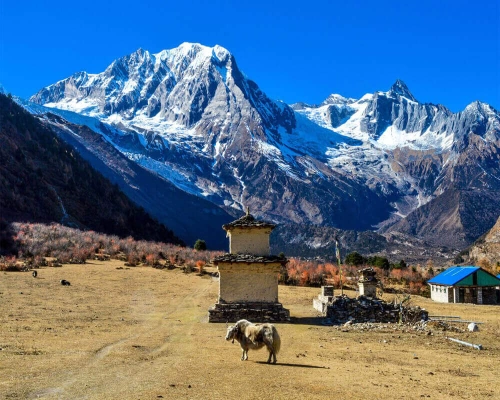  Manaslu Trekking