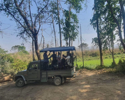  Chitwan Safari Tour