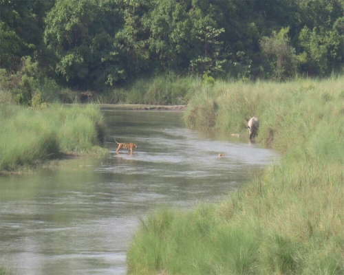  Bardiya National Park