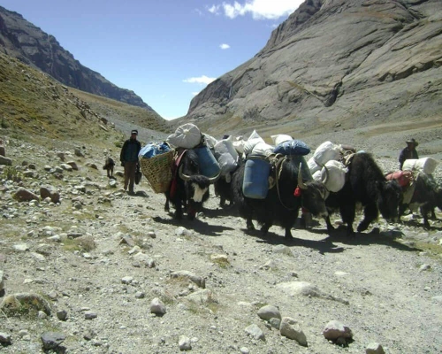 Kailash Tour