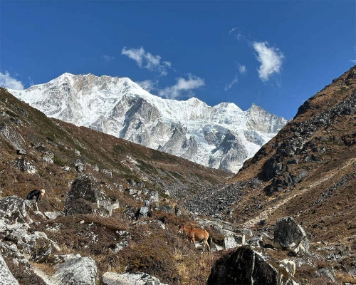 Luxury Manaslu Circuit Trek