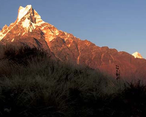 Mardi Himal Trek Itinerary