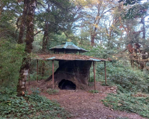 On The Way Of Shivapuri Hiking