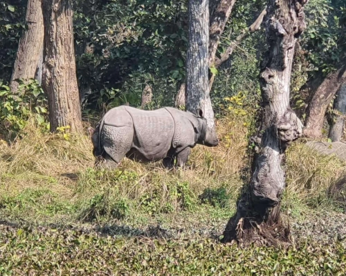 Tour In Chitwan