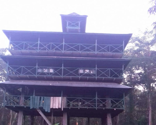 Tower Stay Chitwan Tour