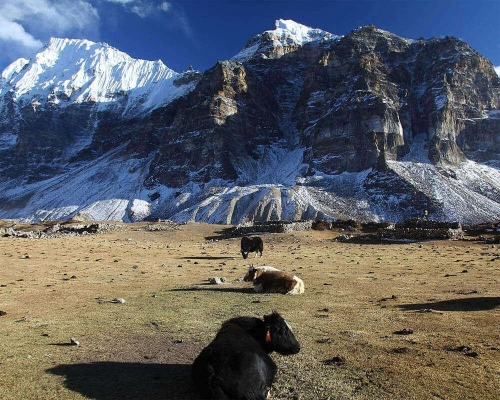 Trek To Kanchenjunga