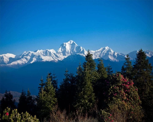 View Of Ghorepani Trek