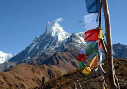 Mardi Himal Trekking | Book Now Mardi Himal Trek