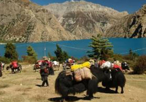 Upper Dolpo Trekking